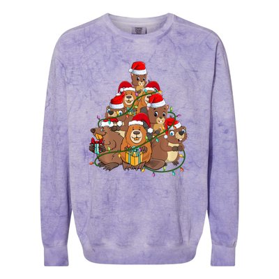 Beavers Christmas Tree Lights Xmas Pajamas For Family Colorblast Crewneck Sweatshirt