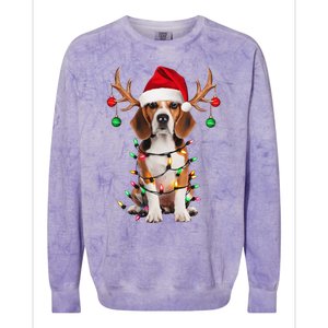 Beagle Christmas Tree Beagle Santa Hat Lover Gift Colorblast Crewneck Sweatshirt