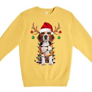 Beagle Christmas Tree Beagle Santa Hat Lover Gift Premium Crewneck Sweatshirt