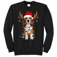 Beagle Christmas Tree Beagle Santa Hat Lover Gift Sweatshirt