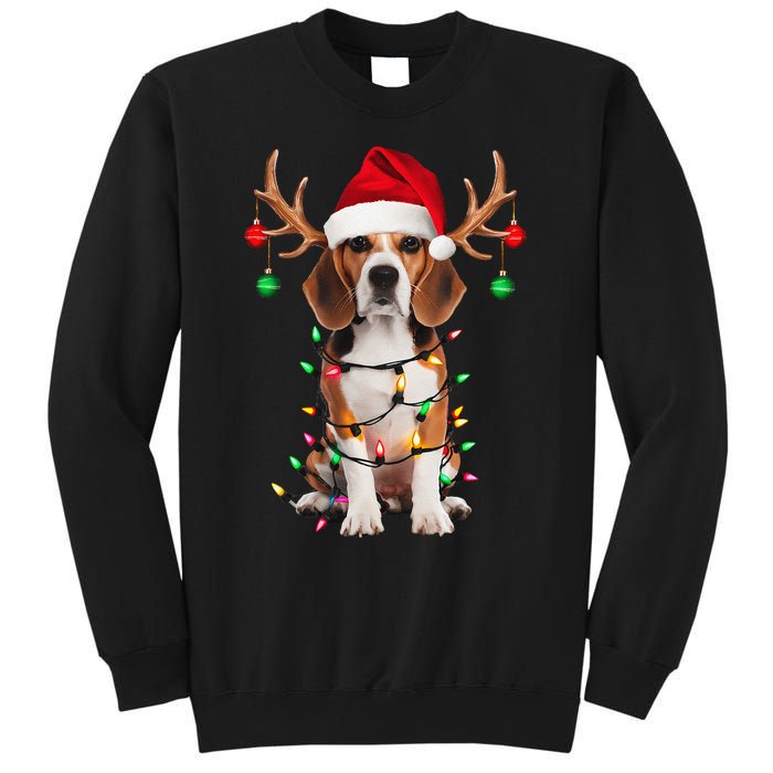 Beagle Christmas Tree Beagle Santa Hat Lover Gift Sweatshirt