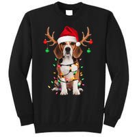 Beagle Christmas Tree Beagle Santa Hat Lover Gift Tall Sweatshirt