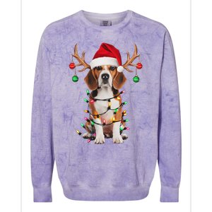 Beagle Christmas Tree Beagle Santa Hat Lover Gifts Colorblast Crewneck Sweatshirt