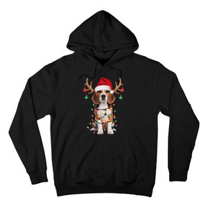 Beagle Christmas Tree Beagle Santa Hat Lover Gifts Hoodie