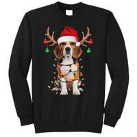 Beagle Christmas Tree Beagle Santa Hat Lover Gifts Sweatshirt