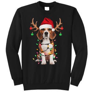 Beagle Christmas Tree Beagle Santa Hat Lover Gifts Tall Sweatshirt