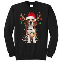 Beagle Christmas Tree Beagle Santa Hat Lover Gifts Tall Sweatshirt