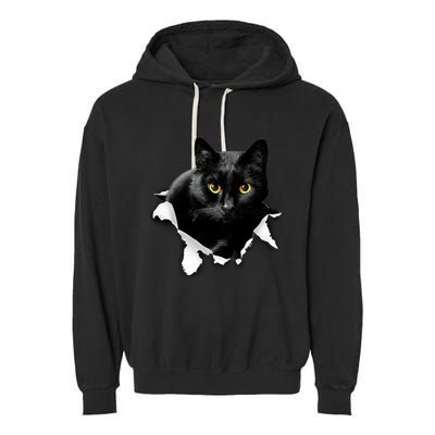 Black Cat Torn Cloth Gifts For Cat Lover Cat Dad Cat Mom Garment-Dyed Fleece Hoodie