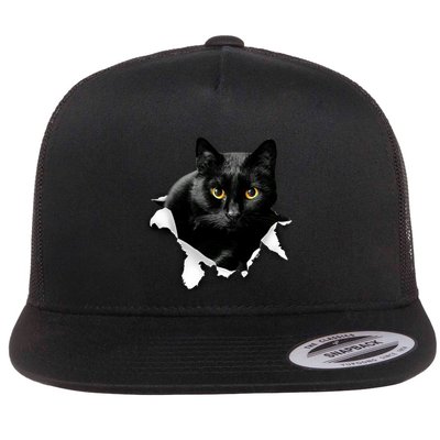 Black Cat Torn Cloth Gifts For Cat Lover Cat Dad Cat Mom Flatbill Hat