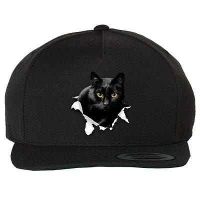 Black Cat Torn Cloth Gifts For Cat Lover Cat Dad Cat Mom Wool Snapback Cap