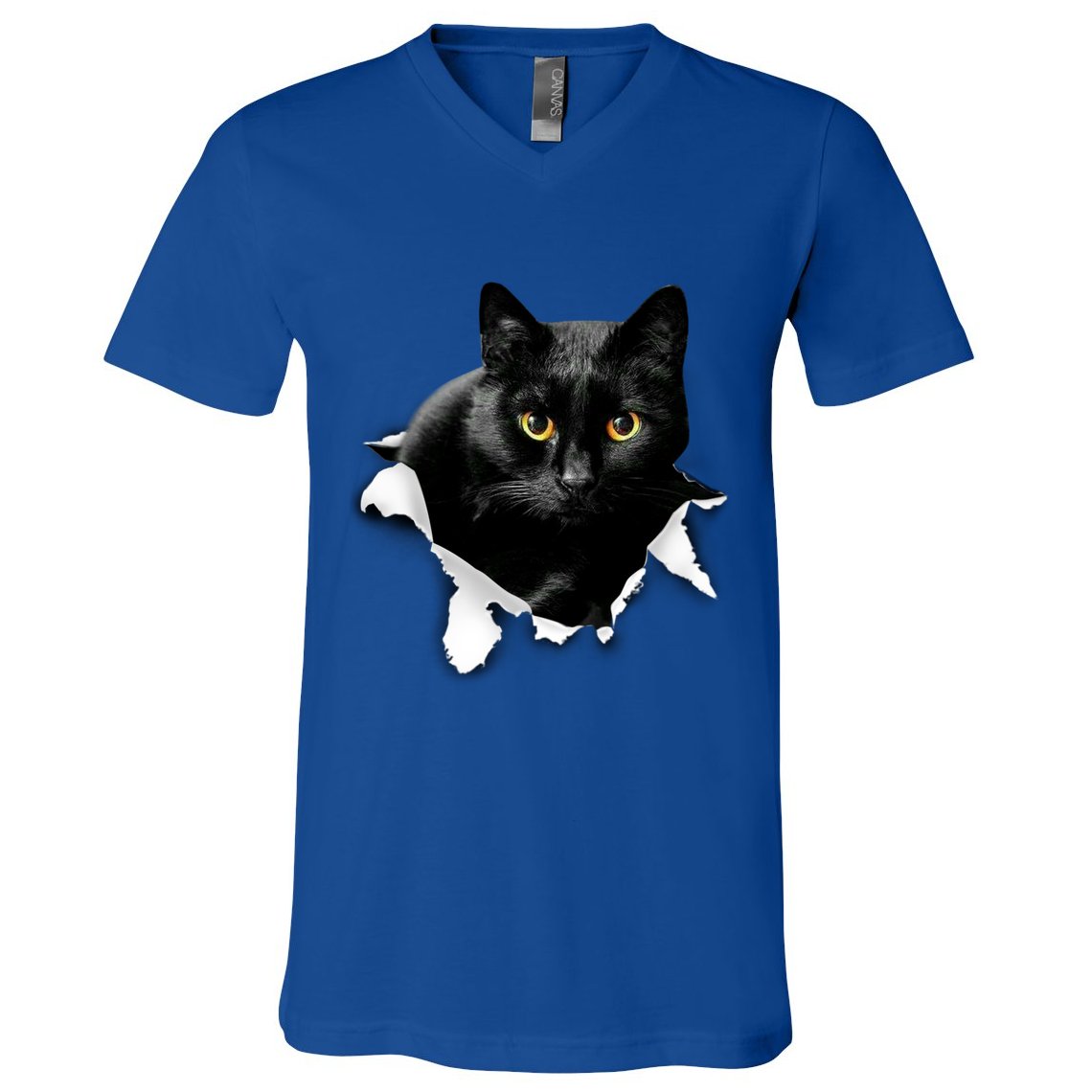 Black Cat Torn Cloth Gifts For Cat Lover Cat Dad Cat Mom V-Neck T-Shirt