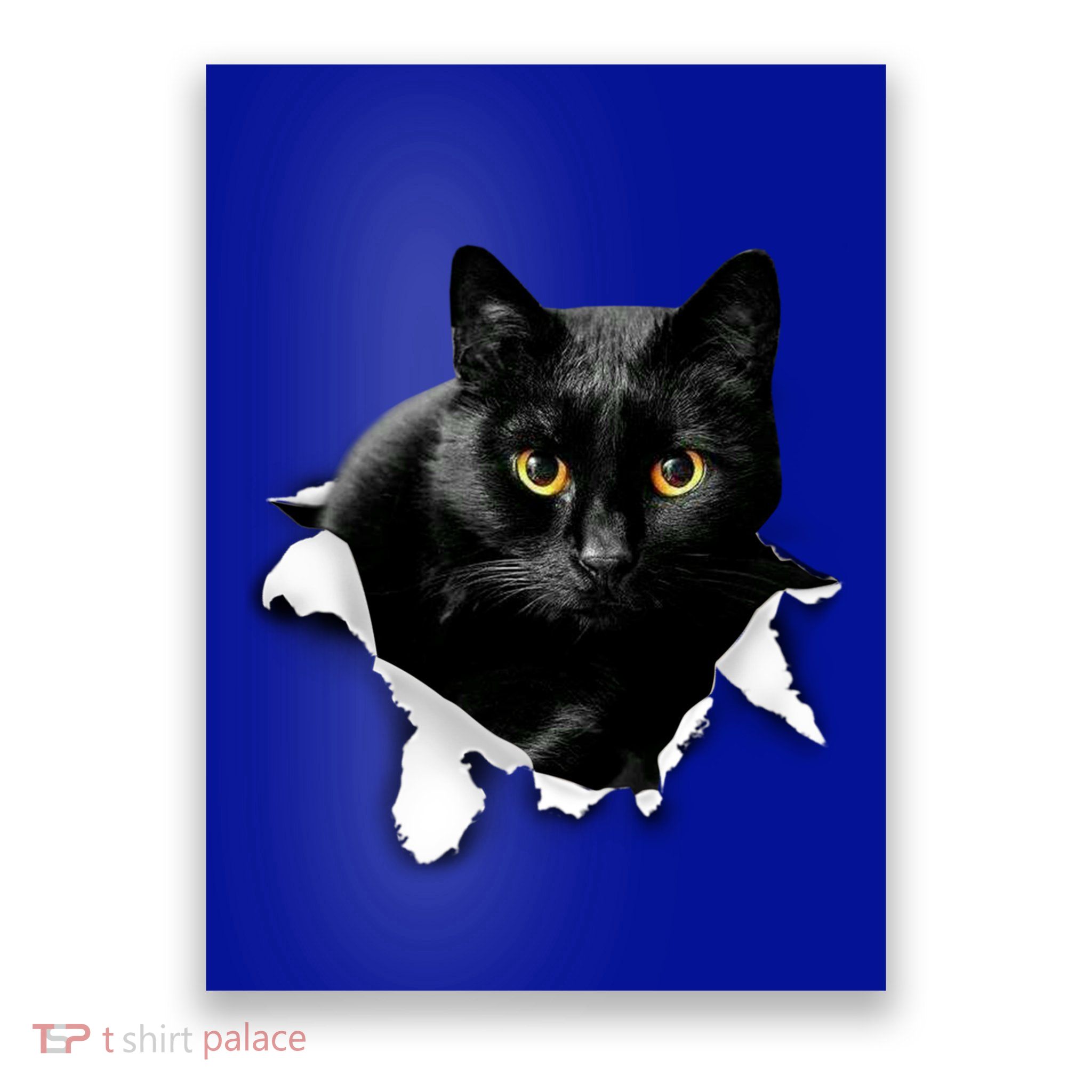 Black Cat Torn Cloth Gifts For Cat Lover Cat Dad Cat Mom Poster