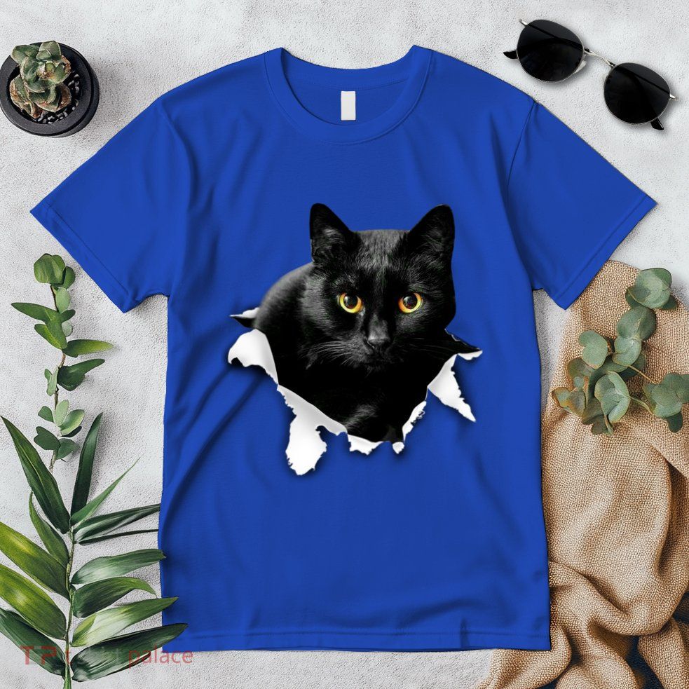 Black Cat Torn Cloth Gifts For Cat Lover Cat Dad Cat Mom Premium T-Shirt