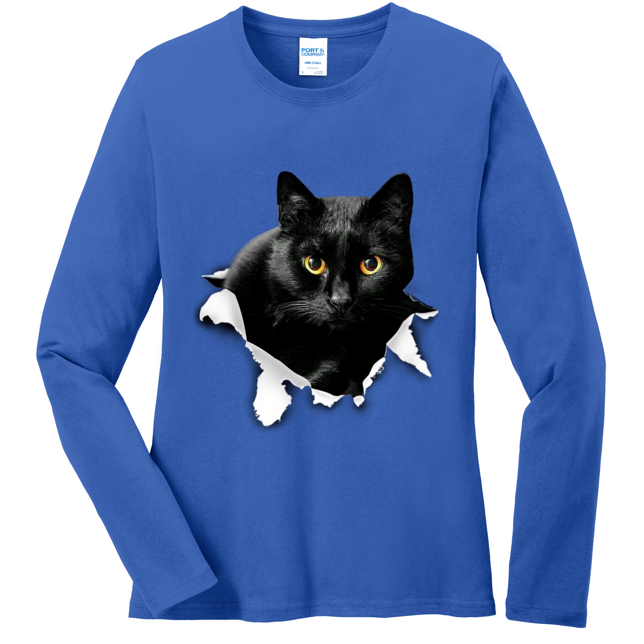 Black Cat Torn Cloth Gifts For Cat Lover Cat Dad Cat Mom Ladies Long Sleeve Shirt