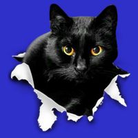 Black Cat Torn Cloth Gifts For Cat Lover Cat Dad Cat Mom Womens T-Shirt
