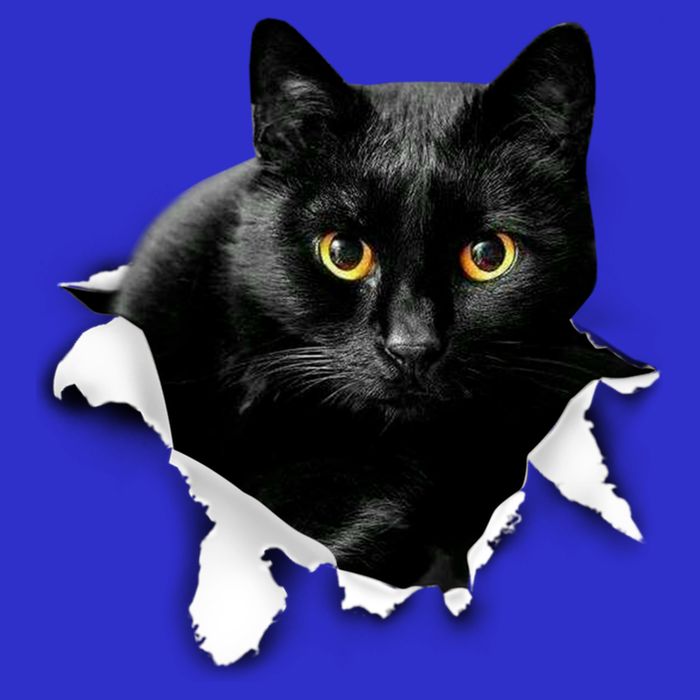 Black Cat Torn Cloth Gifts For Cat Lover Cat Dad Cat Mom Womens T-Shirt