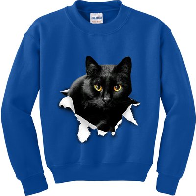Black Cat Torn Cloth Gifts For Cat Lover Cat Dad Cat Mom Kids Sweatshirt