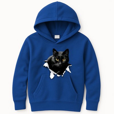 Black Cat Torn Cloth Gifts For Cat Lover Cat Dad Cat Mom Kids Hoodie