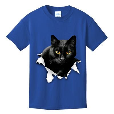 Black Cat Torn Cloth Gifts For Cat Lover Cat Dad Cat Mom Kids T-Shirt