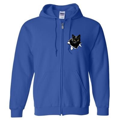 Black Cat Torn Cloth Gifts For Cat Lover Cat Dad Cat Mom Full Zip Hoodie