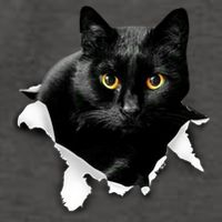Black Cat Torn Cloth Gifts For Cat Lover Cat Dad Cat Mom Vector Backpack