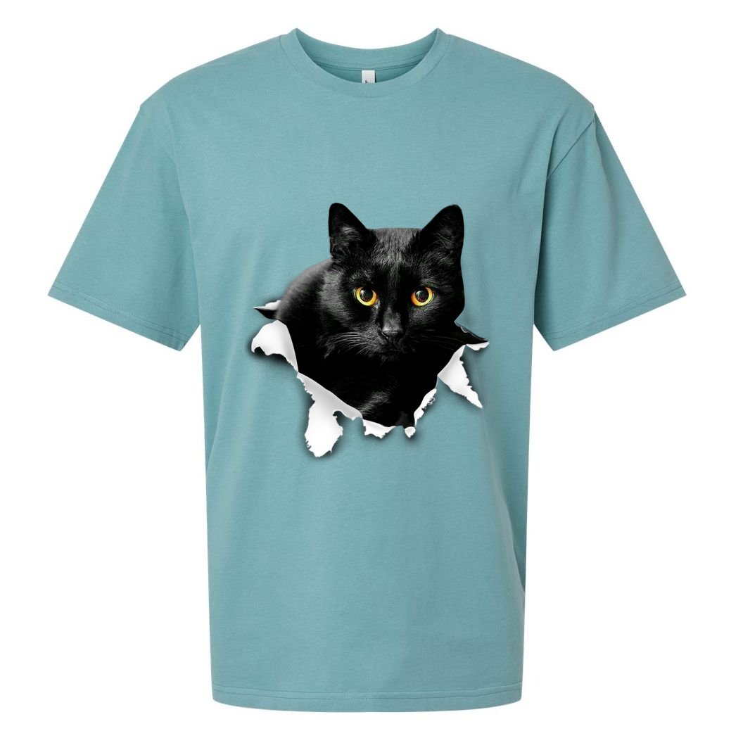 Black Cat Torn Cloth Gifts For Cat Lover Cat Dad Cat Mom Sueded Cloud Jersey T-Shirt