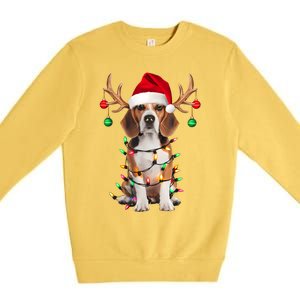 Beagle Christmas Tree Beagle Santa Hat Lover Gifts Premium Crewneck Sweatshirt