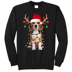 Beagle Christmas Tree Beagle Santa Hat Lover Gifts Sweatshirt