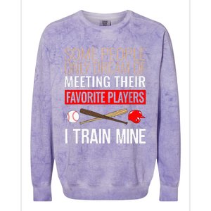 Baseball Coach Trainer Bat And Ball Sports Lover Quote Colorblast Crewneck Sweatshirt