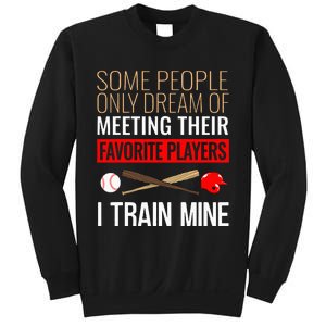 Baseball Coach Trainer Bat And Ball Sports Lover Quote Sweatshirt