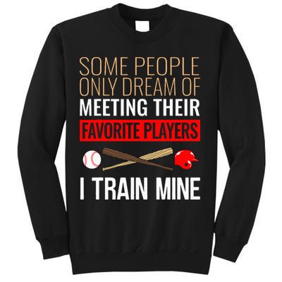 Baseball Coach Trainer Bat And Ball Sports Lover Quote Sweatshirt