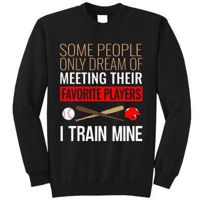 Baseball Coach Trainer Bat And Ball Sports Lover Quote Sweatshirt