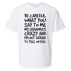 Be Careful What You Say To Me My Grandmas Crazy Funny Family Sueded Cloud Jersey T-Shirt