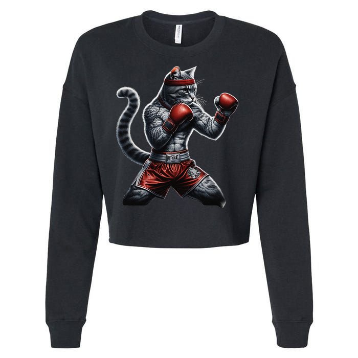 Boxing Cat When Your Cat Hits Harder Than You Do Cropped Pullover Crew