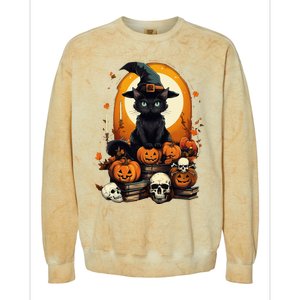 Black Cat Witch Reading Book Spooky Halloween Vibe Colorblast Crewneck Sweatshirt