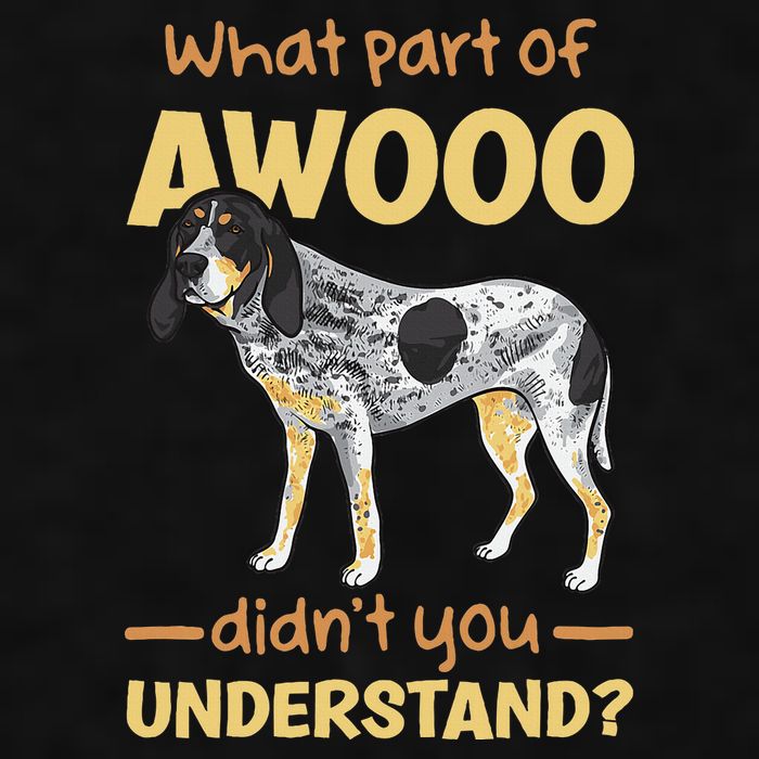 Bluetick Coonhound What Part Of Awooo DidnT You Understand Ladies PosiCharge Tri-Blend Wicking Tank