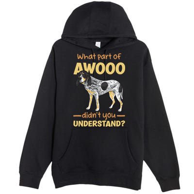 Bluetick Coonhound What Part Of Awooo DidnT You Understand Premium Pullover Hoodie