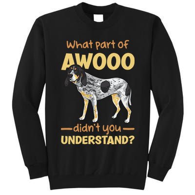 Bluetick Coonhound What Part Of Awooo DidnT You Understand Tall Sweatshirt