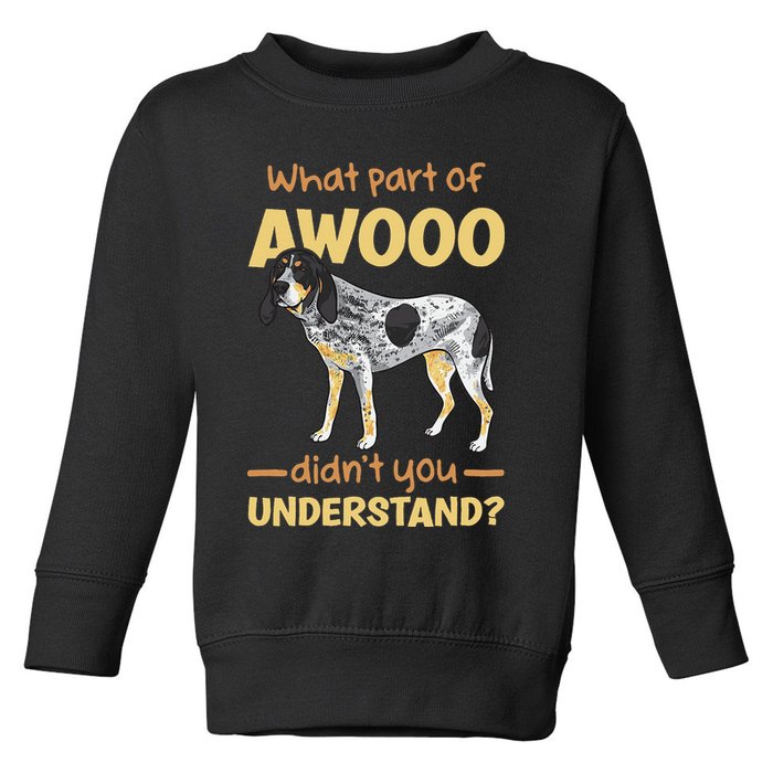 Bluetick Coonhound What Part Of Awooo DidnT You Understand Toddler Sweatshirt