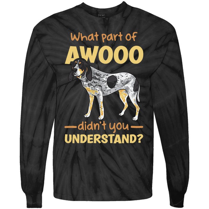 Bluetick Coonhound What Part Of Awooo DidnT You Understand Tie-Dye Long Sleeve Shirt