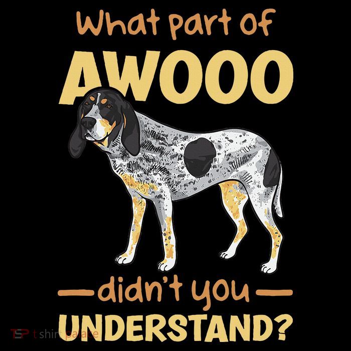 Bluetick Coonhound What Part Of Awooo DidnT You Understand Tie-Dye T-Shirt