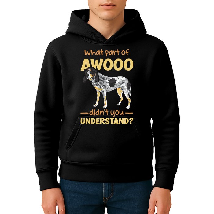 Bluetick Coonhound What Part Of Awooo DidnT You Understand Kids Hoodie