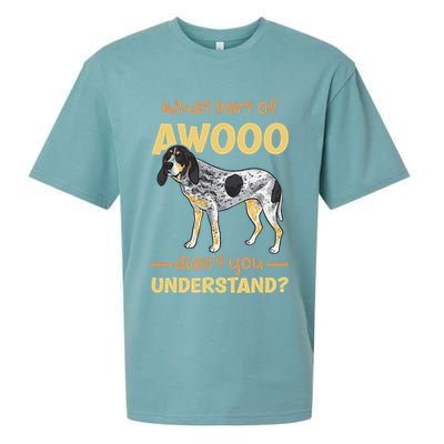 Bluetick Coonhound What Part Of Awooo DidnT You Understand Sueded Cloud Jersey T-Shirt