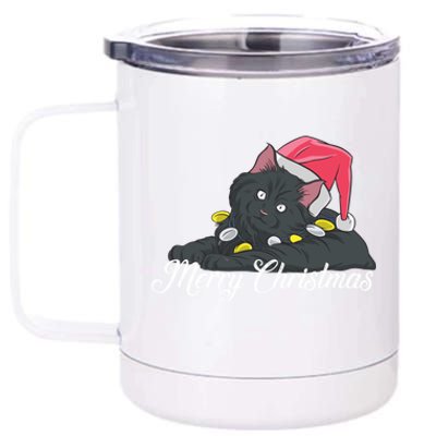 Black Cat Wearing A Santa Hat And Merry Christmas Lights Gift 12 oz Stainless Steel Tumbler Cup