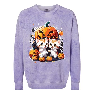 Baby Cats With Pumpkin Halloween Costume Boy Colorblast Crewneck Sweatshirt