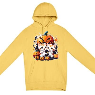 Baby Cats With Pumpkin Halloween Costume Boy Premium Pullover Hoodie