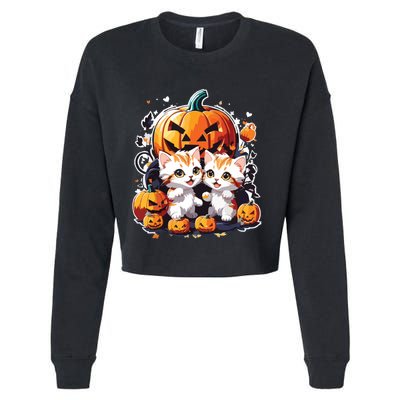 Baby Cats With Pumpkin Halloween Costume Boy Cropped Pullover Crew