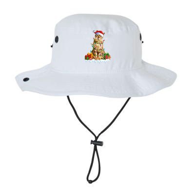 Bengal Cat Xmas Light Christmas Kitten Lover Cool Gift Legacy Cool Fit Booney Bucket Hat