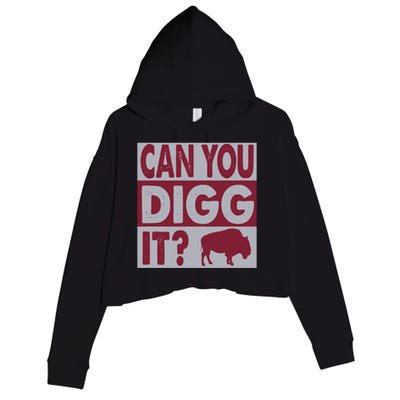 Buffalo Can You Digg It Great Football Fans Lovers Gift Crop Fleece Hoodie