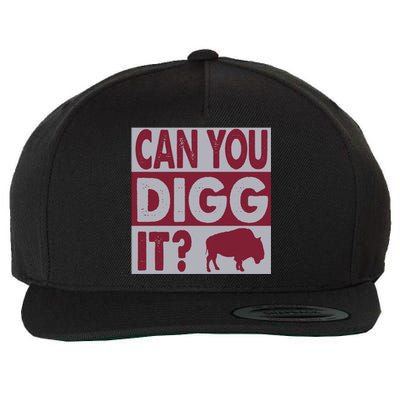 Buffalo Can You Digg It Great Football Fans Lovers Gift Wool Snapback Cap